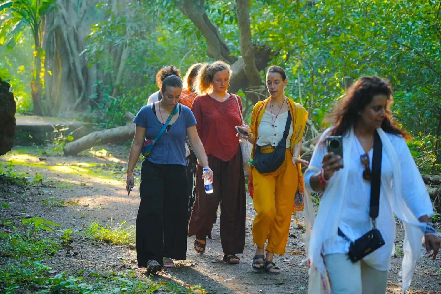 Himalayan Forest Nature Walk